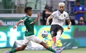 Botafogo Busca Manter Invicibilidade Contra o Palmeiras Após Um Ano sem Derrotas