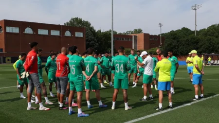 Ascensão Financeira e Conquistas: A Década de Sucesso do Palmeiras na Copa de Clubes