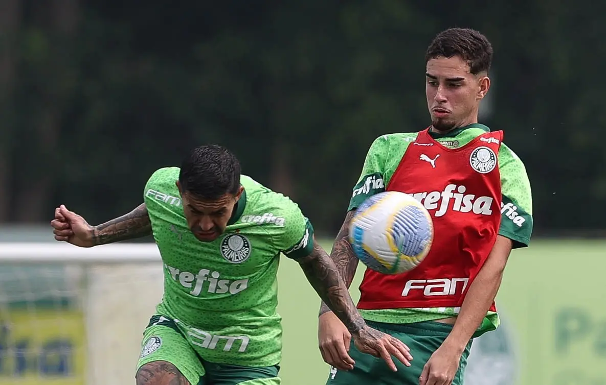 Palmeiras Desiste da Compra de Agner, que Retorna ao Fluminense
