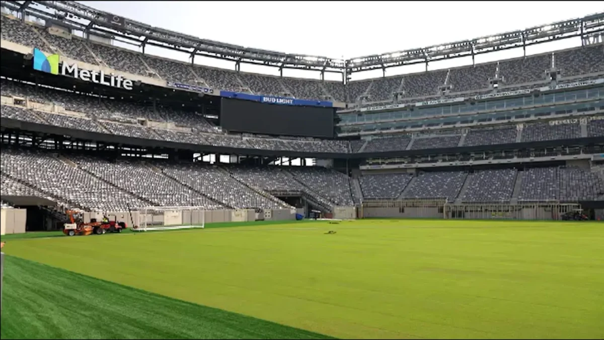 Palmeiras e Porto: onde assistir, horário e prováveis escalações