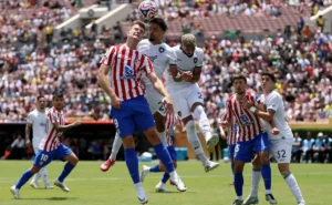 Palmeiras e Botafogo: Gregore fora, Renato Paiva em busca de soluções