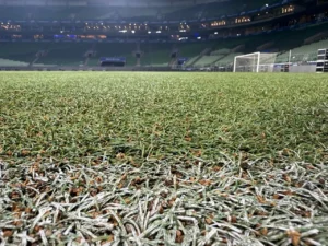 Bastidores: Do que Abel reclama e por que o Palmeiras mudará o gramado antes do prazo no Allianz Parque