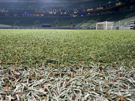 Bastidores: Do que Abel reclama e por que o Palmeiras mudará o gramado antes do prazo no Allianz Parque