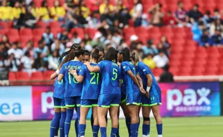 Seleção campeã da Copa América baseia-se no futebol nacional