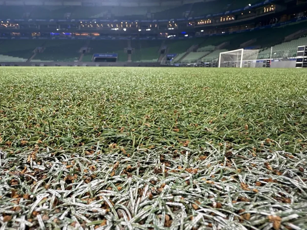 Torrão discute propostas e negocia com fornecedora de gramado do Palmeiras para o Allianz Parque.