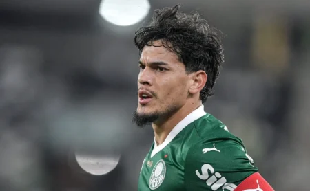 Palmeiras com Maior Possibilidade de Vitória no Confronto Direto contra o Sport