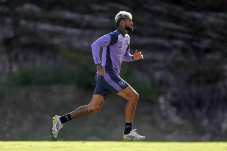 Botafogo: Davide conta com ao menos dois reforços contra o Santos