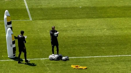 Criciúma se reapresenta com apenas um goleiro do time principal