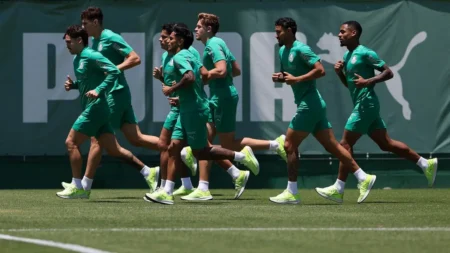 Palmeiras: Aníbal inicia tratamento de edema, Allan aguarda efeito suspensivo