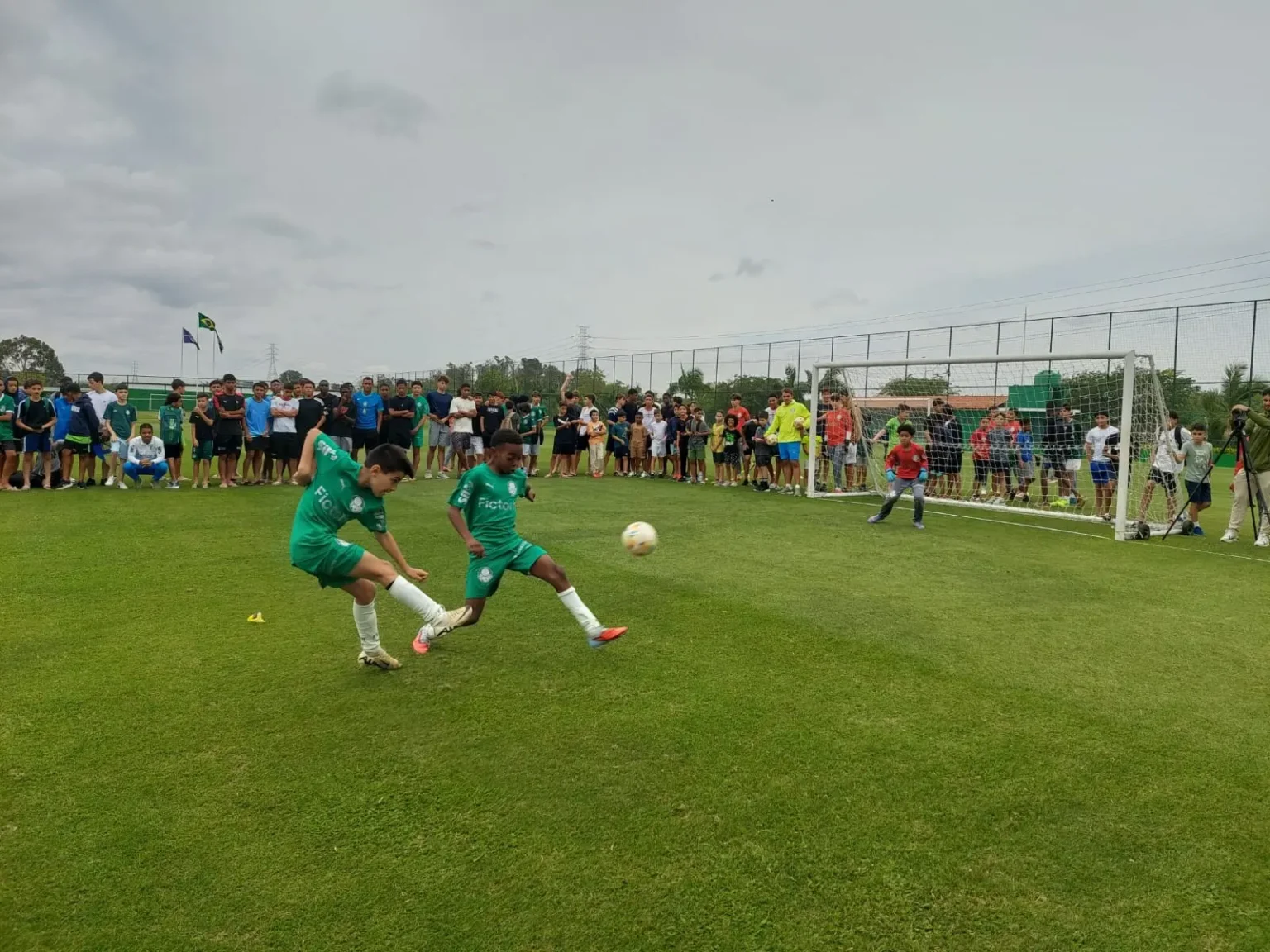 "Vitor Roque e as joias do Palmeiras causam surpresa em CT da base"