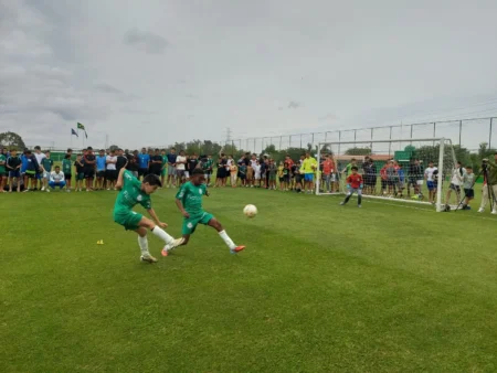 "Vitor Roque e as joias do Palmeiras causam surpresa em CT da base"