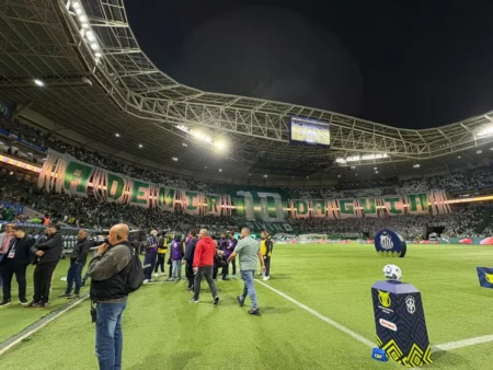 Palmeiras: Torcida reverencia Ademir da Guia com bandeirão "Deus da camisa 10"