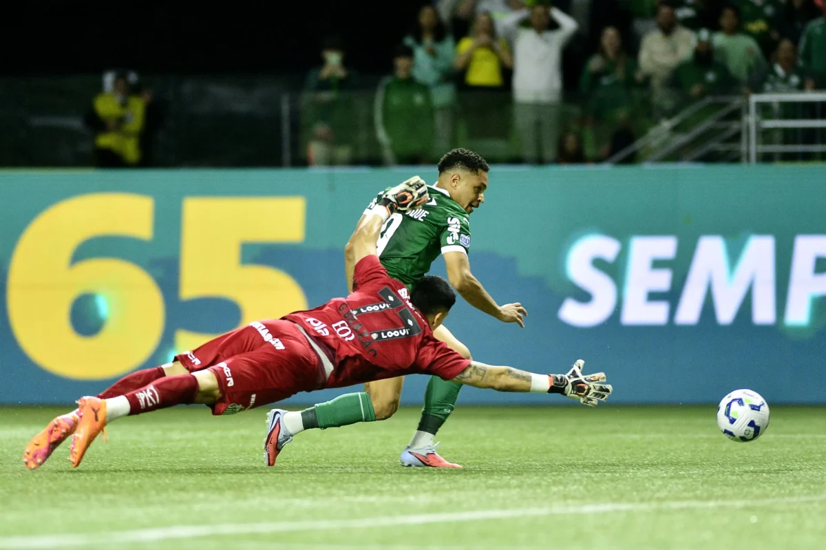 Palmeiras: a virtude da paciência em uma jornada de persistência