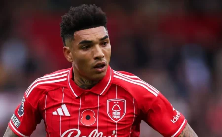 John e Igor Jesus, ex-jogadores do Botafogo, brilham na Premier League; atacante é elogiado por Guardiola