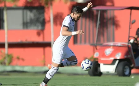 Botafogo: Anselmi lidera primeiro treino com o elenco Botafogo: Anselmi lidera primeiro treino com o elenco