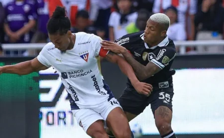 Botafogo busca fim de tabu na altitude contra o Nacional Potosí, a 4 mil metros.