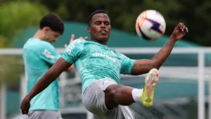 Palmeiras começa preparação para a semifinal do Paulista após vencer o Fluminense pelo Brasileiro