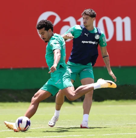 Reservas do Palmeiras disputam vaga no time em última chance: "Não tem zona de conforto"