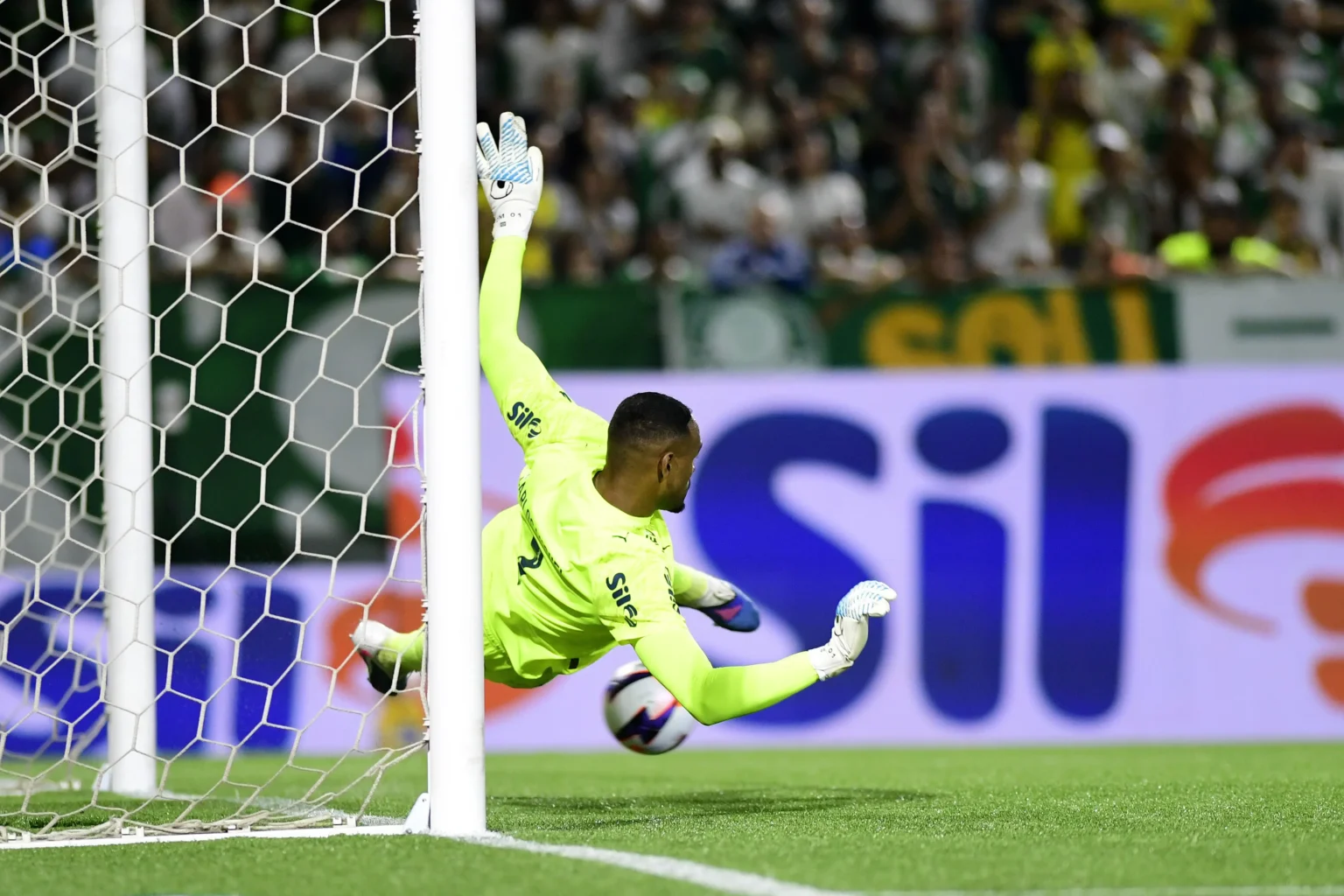 Carlos Miguel busca o primeiro título para se firmar no Palmeiras