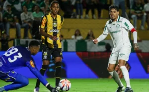 Palmeiras x Novorizontino: Onde assistir, escalações e arbitragem da final do Paulistão.