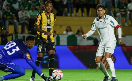 Palmeiras x Novorizontino: Onde assistir, escalações e arbitragem da final do Paulistão.