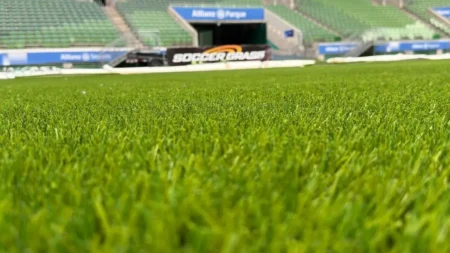 Palmeiras se prepara para estreia no Allianz Parque com gramado sintético elogiado pelo elenco: "Melhor do Brasil"