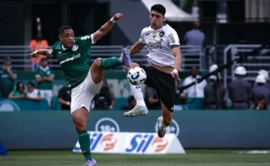 Palmeiras não supera o Botafogo em casa há quatro anos