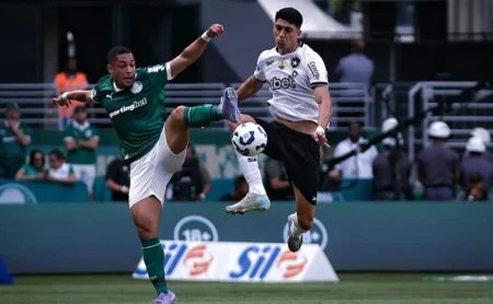 Palmeiras não supera o Botafogo em casa há quatro anos