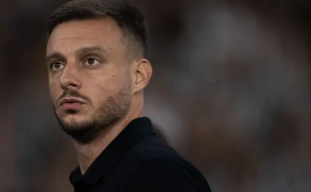 Retorno de Júnior Santos pode ser trunfo para Anselmi ajustar ataque do Botafogo