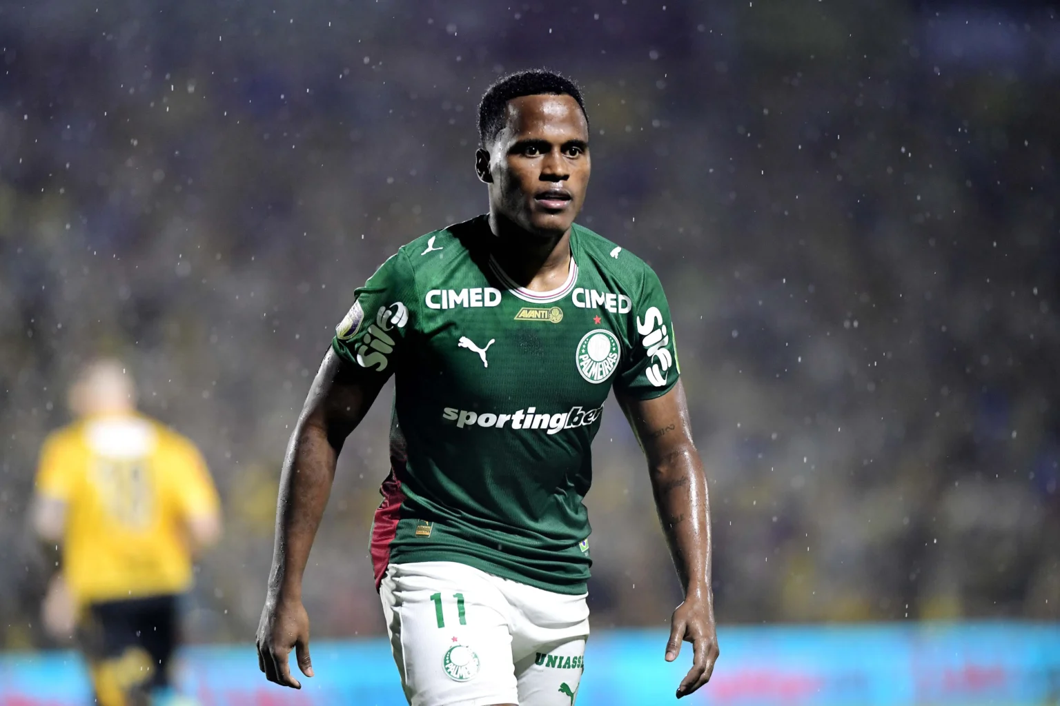 Título paulista celebra nova geração de campeões no Palmeiras e eleva expectativas para 2026